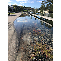 Day after the king tide Virginia Beach image